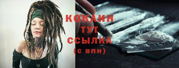 молекула духа Покровск