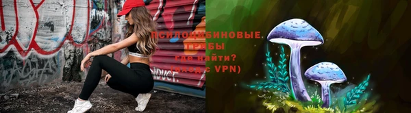 стаф Абинск