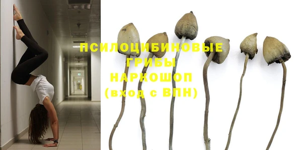 стаф Абинск
