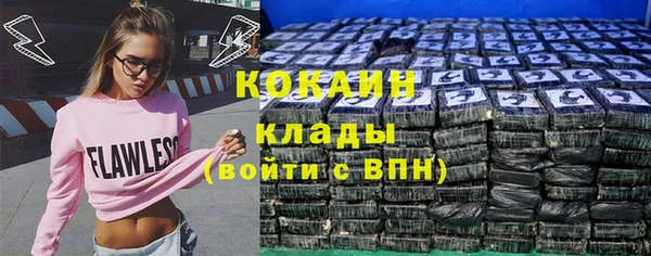 стаф Абинск