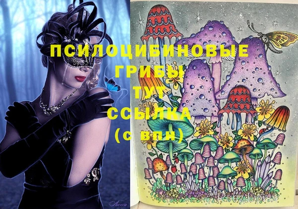 индика Абдулино