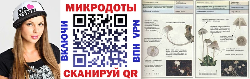 где можно купить   Красноармейск  Псилоцибиновые грибы мухоморы 