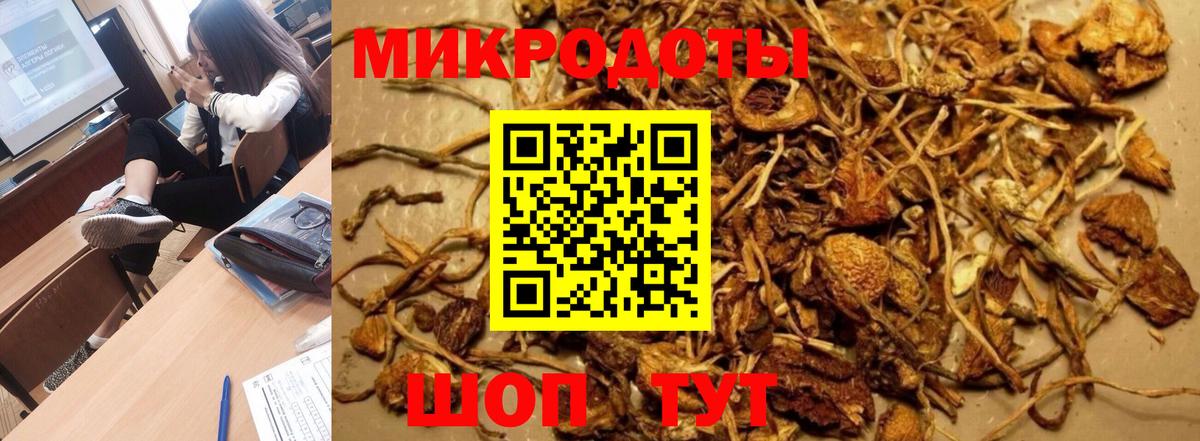 Псилоцибиновые грибы ЛСД  Вход с VPN  Псилоцибиновые грибы MAGIC MUSHROOMS  Красноармейск 